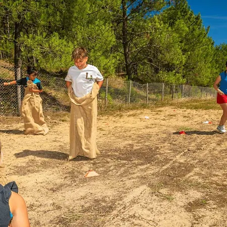 Zecamping Anime Piscine Couverte Club Enfant Animations Dog Friendly 4* La Faute-sur-Mer