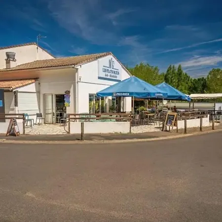 Camping Zecamping Animé Piscine Couverte Club Enfant Animations Dog Friendly La Faute-sur-Mer
