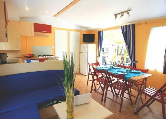 Kemping Zecamping Anime Piscine Couverte Club Enfant Animations Dog Friendly